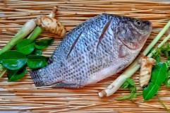 Dikenal Ekspansif, Ternyata Ikan Nila Punya Banyak Manfaat untuk Kesehatan