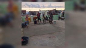 Jelang Ramadhan, Warga Gotong-royong Selesaikan Pembangunan Masjid Safinatus Salam di Pulau Masudu Sultra