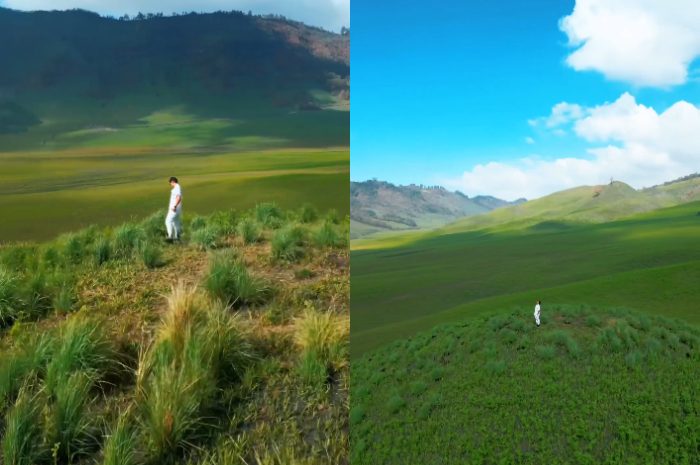 Savana Bromo Kembali Menghijau Usai Terbakar oleh Flare Prewedding, Viewnya Seperti di Negeri Dongeng