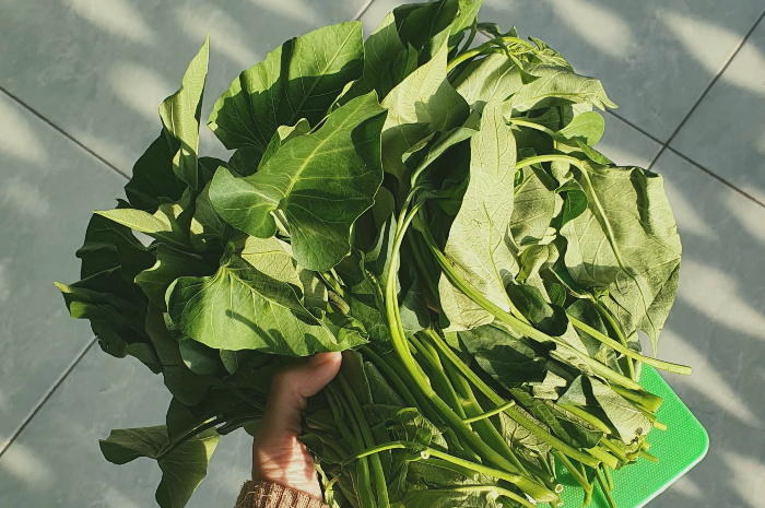 Apakah Benar Mitos Usai Konsumsi Sayuran Kangkung Bisa Bikin Ngantuk? Begini Penjelasan Menurut Peneliti