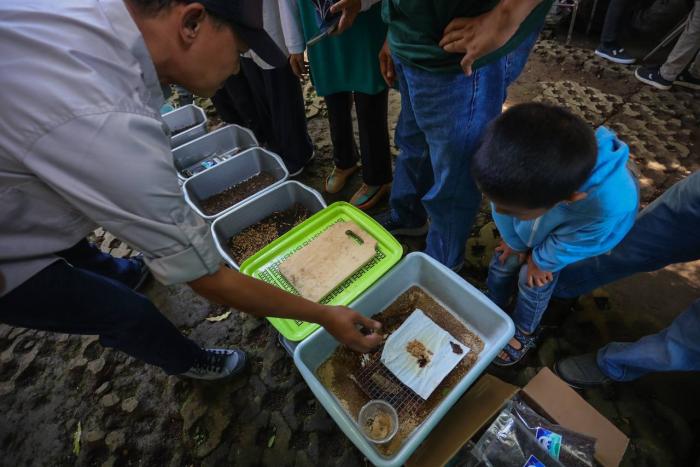 Pemkot Bandung Siapkan 151 Tempat Budidaya Maggot Untuk Atasi Sampah Organik