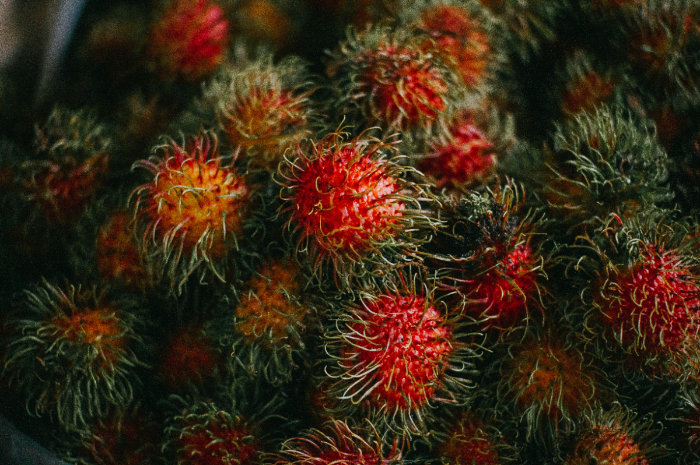 Manfaat Buah Rambutan, Dapat Turunkan Tekanan Darah sampai Perkuat Kekokohan Tulang!