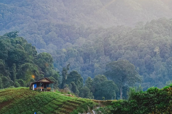 Membuat Mata Terpana, Begini Indahnya Panorama Desa Pasir Datar di Kabupaten Sukabumi