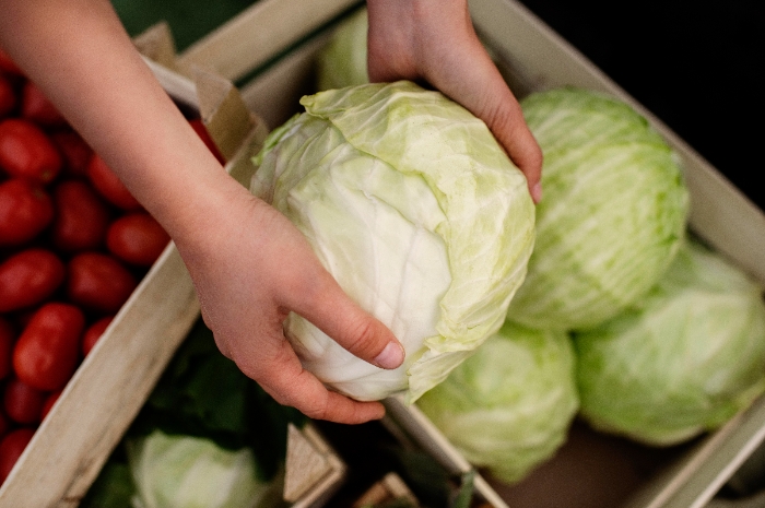 Yuk, Simak! Berikut Bebebrapa Manafaat Sayur Kol bagi Kesehatan