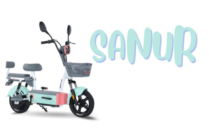 Tampilannya Menarik, Ini Dia Sepeda Listrik Selis Sanur yang Menggunakan Mesin Hub Drive di Bagian Belakang