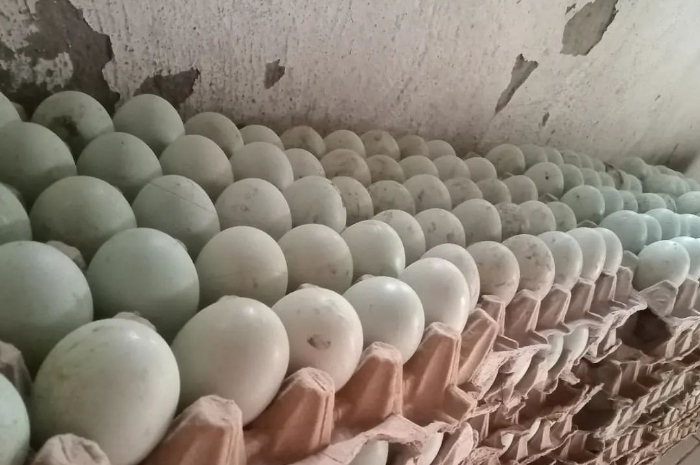 Kenali 5 Manfaat Kuning Telur Bebek untuk Kesehatan, Nomor 3 Berkaitan dengan Mata
