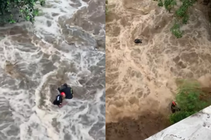Dramatis! Detik-detik Petugas Damkar Selamatkan Pemancing Terjebak di Sungai saat Banjir Bandang