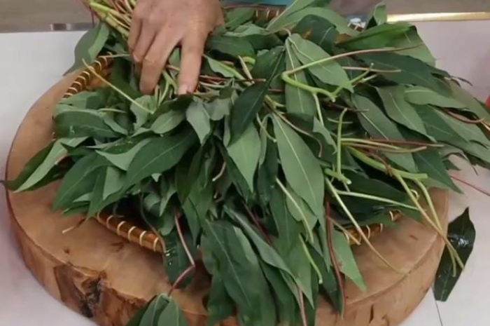 Dapat Menurunkan Risiko Kanker, Simak 5 Manfaat Daun Singkong yang Baik untuk Kesehatan