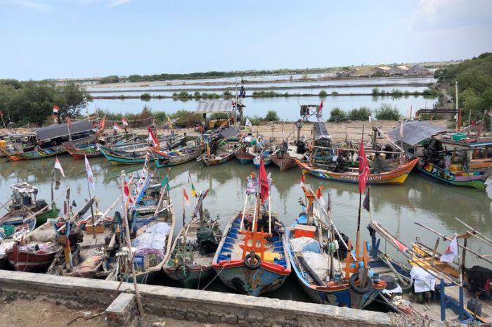 Petambak di Ambulu Cirebon Keluhkan Penjarahan Ikan Bandeng