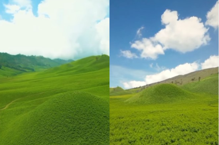 Gunung Bromo Kembali Menghijau, TNBTS Kini Raih Prestasi Baru di Platform Luar Negeri, Apa Kata Warganet?