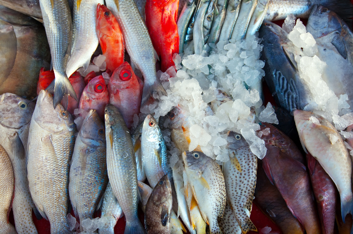 Baik bagi Orang yang Sedang Diet, Ini 4 Manfaat Mengonsumsi Ikan
