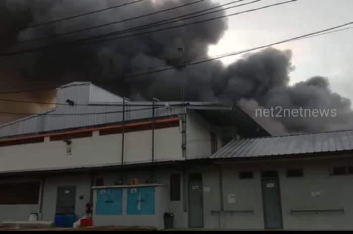 Tempat Peternakan di Nagrak Sukabumi Terbakar, Ribuan Ekor Ayam Ikut Terpanggang