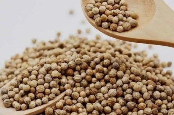 Selain Menjadi Bahan Masakan, Ketumbar Memiliki Manfaat yang Baik bagi Kesehatan Tubuh, Apa Saja?