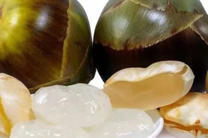 Kenali 7 Manfaat Buah Lontar untuk Kesehatan Tubuh