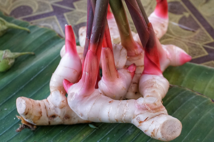Bukan Sekadar Rempah, Berikut 10 Manfaat Laos untuk Kesehatan, Satu diantaranya Bikin Kulit Sehat