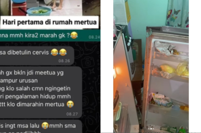Wanita Ini Tak Sengaja Merusak Pintu Kulkas, Reaksi Mertuanya Bikin Warganet Iri