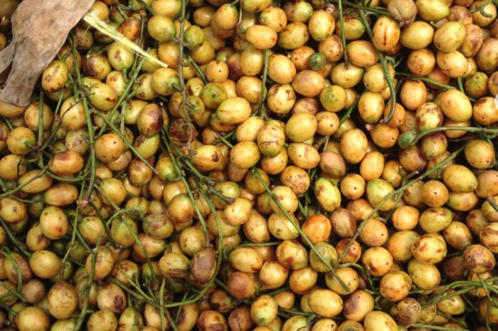  Kembaran Duku, Ini Dia 6 Manfaat Buah Menteng