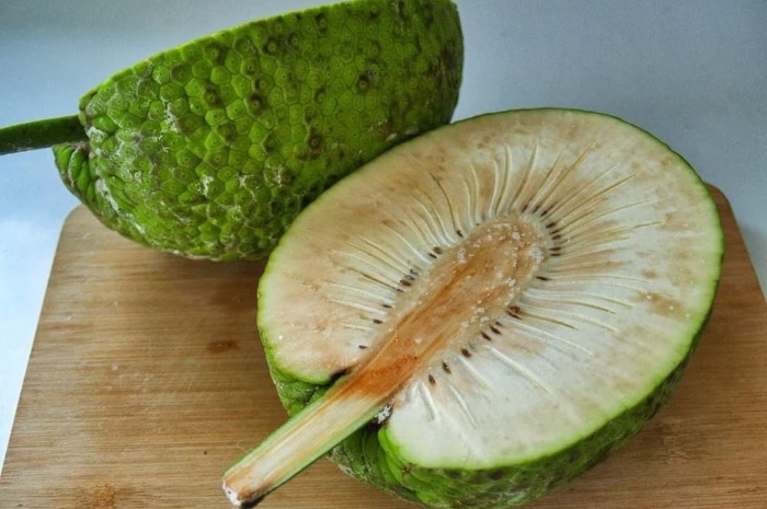 Simak! Kandungan dan Khasiat yang Tersembunyi dalam Buah Sukun, Diungkap dr Ema Surya Pertiwi