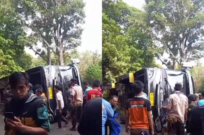 Heboh, Bus Pengangkut Peserta Kemah Terguling di Jalan Raya Kiarapayung Sumedang