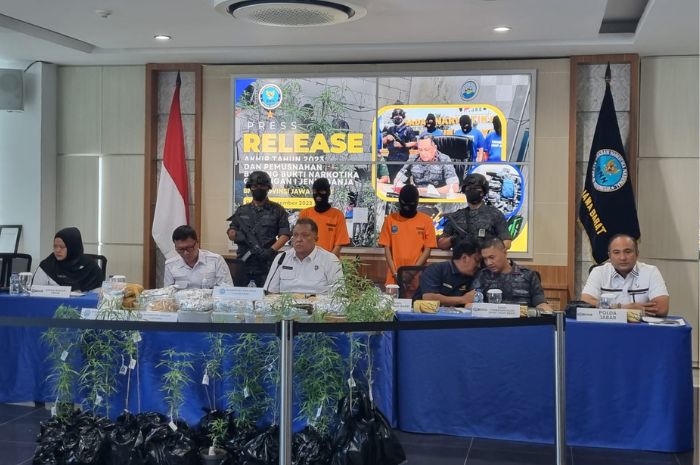 Pria Asal Pondok Gede Bekasi Tanam 39 Pohon Ganja di Rumahnya, BNN: Pelaku Beli Bibit di Media Sosial