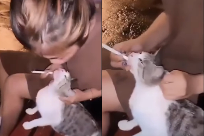 Viral, Aksi Wanita Beri Rokok pada Kucing Hingga Hirup Asapnya, Netizen: Lebih Hewan Dia...