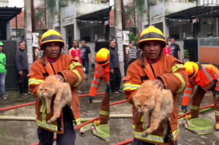 Momen Haru Petugas Damkar Kota Bandung Berhasil Selamatkan Kucing dari Kebakaran, Warganet: Sehat-Sehat Bapak!