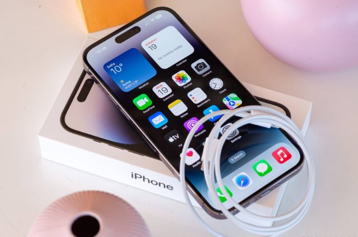 Harga Terbaru Hp iPhone 14 Pro Max pada Januari 2024, Diskon Hingga 13 Persen!
