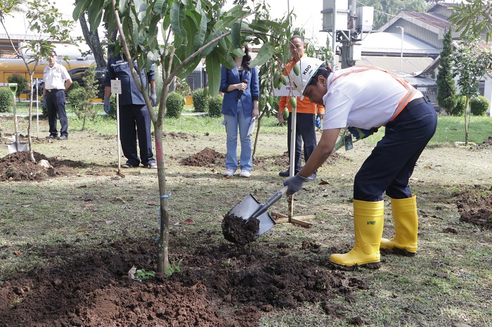 Topang Rendah Emisi Karbon, PT KAI Punya Trik, Tanam Ribuan Pohon Jadi Jurusnya