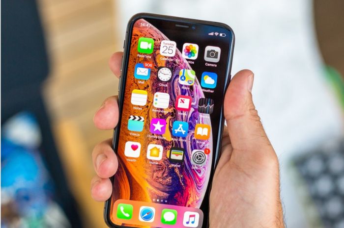 Update Harga Terbaru Hp iPhone XS pada Januari 2024, Ini Link Pembeliannya!