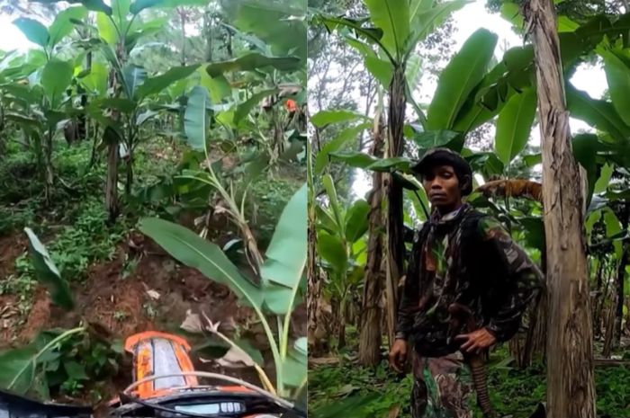 Heboh, Pemilik Kebun Pisang Marahi Pengendara Motor Trail di Cipatat Bandung, Minta Ganti Rugi Kerusakan