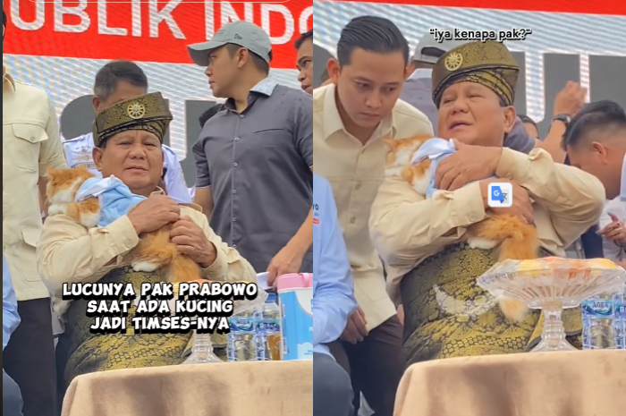 Definisi Gemoy? Prabowo Subianto Gendong Kucing di Batam, Netizen Bilang Begini