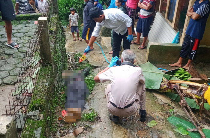 Kakek di Gunungguruh Sukabumi Tewas, Diduga Tersengat Aliran Listrik Saat Tebang Pohon Pisang