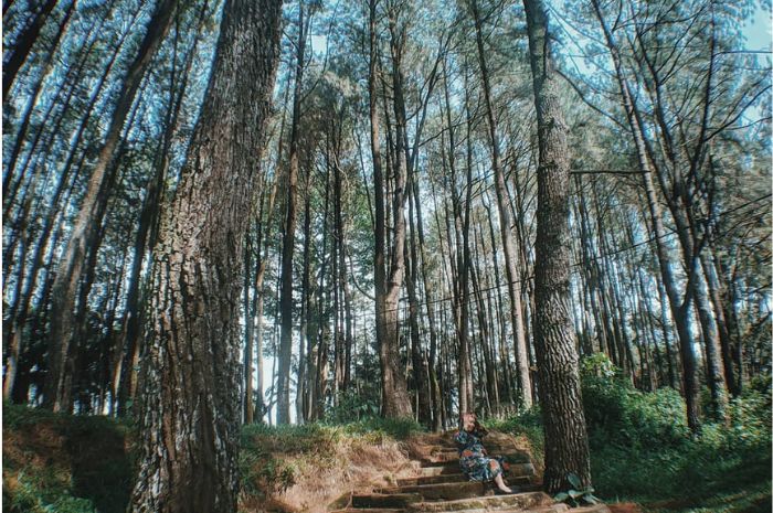 Murah Meriah, Cukup Rp15 Ribu Sudah Dapat Keindahaan Wisata Alam Bukit Baros Sukabumi