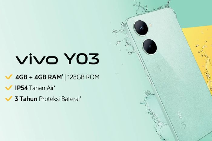 Baru! Vivo Y03 Hp Kelas Entry Level Diam-Diam Masuk Pasar Indonesia, Intip Spesifikasinya 
