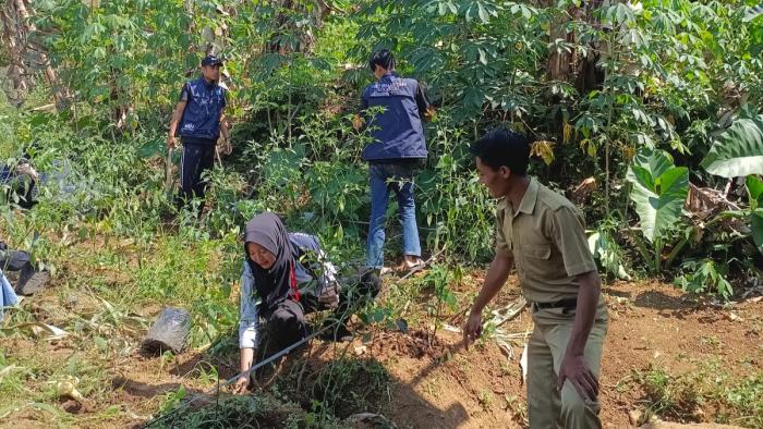 KKM Kelompok 6 STKIP Bina Mutiara Sukabumi: Sukses Gelar Program Penanaman Bibit di Desa Titisan